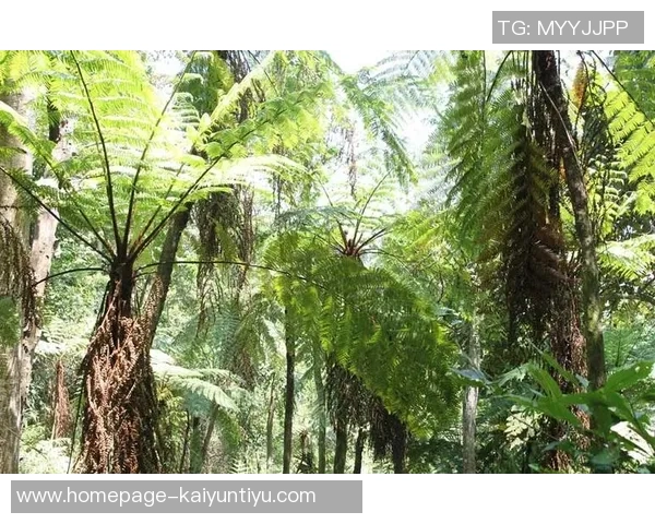 亚当斯的探索之旅:揭示人类智慧与自然和谐共生的奥秘 亚当斯的探索之旅:揭示人类智慧与自然和谐共生的奥秘