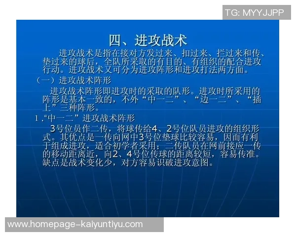 广州排球队反击战术深度解析与实战应用探讨